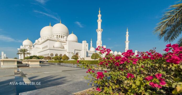 what to see in abu dhabi